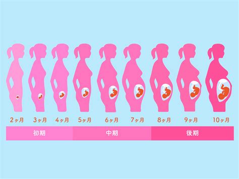 妊娠初期 ムラムラする|妊娠初期（0～4ヶ月）に起こりがちな症状と過ごし方。